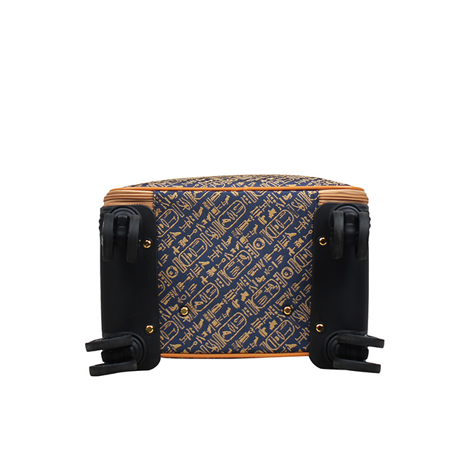 Counieform Cabin Luggage – 20 Inch with TSA Lock - HL-002-20